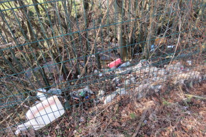 Litter across the fence from the Auchentullich layby on land that appears owned by Luss Estates 