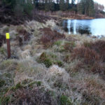 South westerly boundary post, view alomg loch side toward east