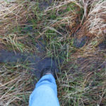 Boggy area to the west of pitch 1, showing water depth.