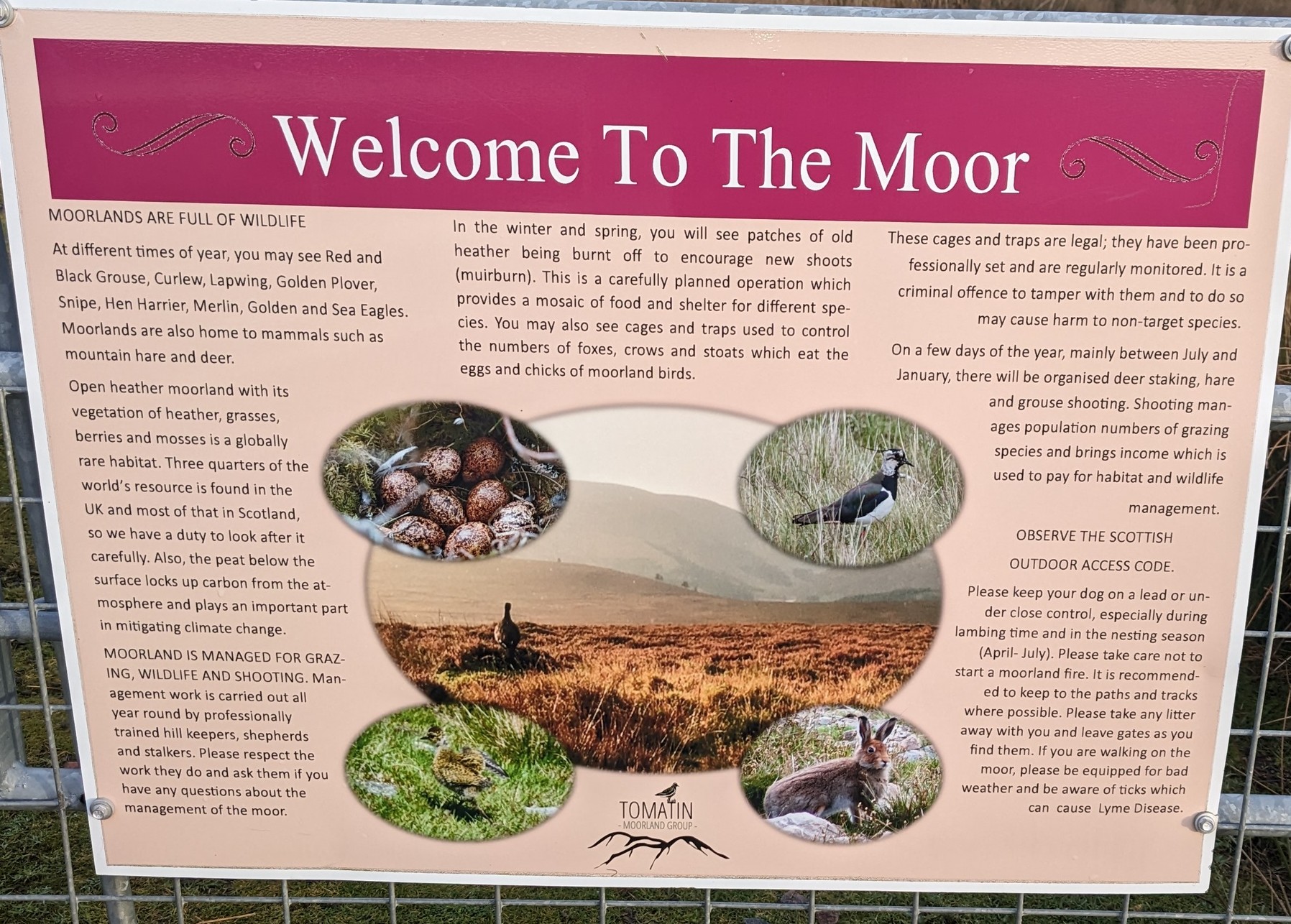 Access Rights And Grouse Moors Parkswatchscotland Access Rights And Grouse Moors Parkswatchscotland